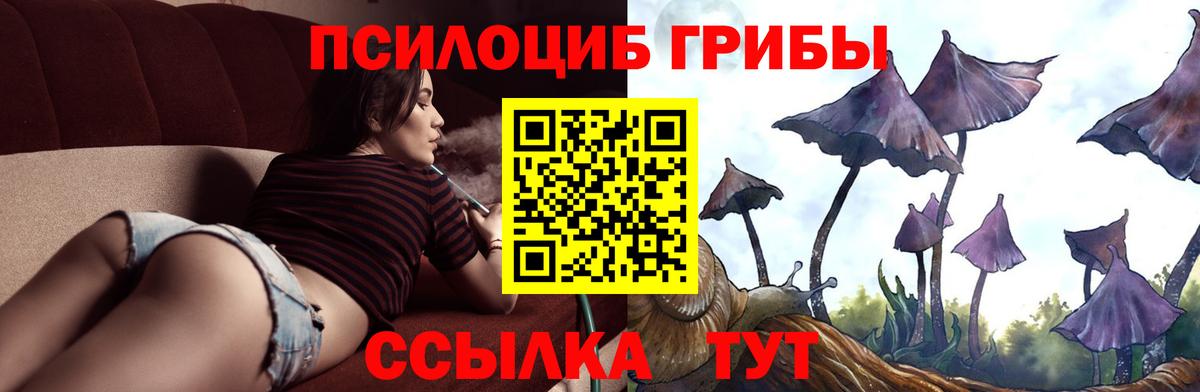 Галлюциногенные грибы ЛСД Нововоронеж