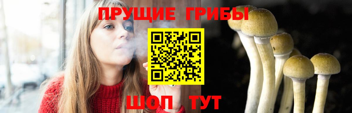 Галлюциногенные грибы мицелий  Вход с VPN  Псилоцибиновые грибы мицелий  где купить наркоту  Нововоронеж 