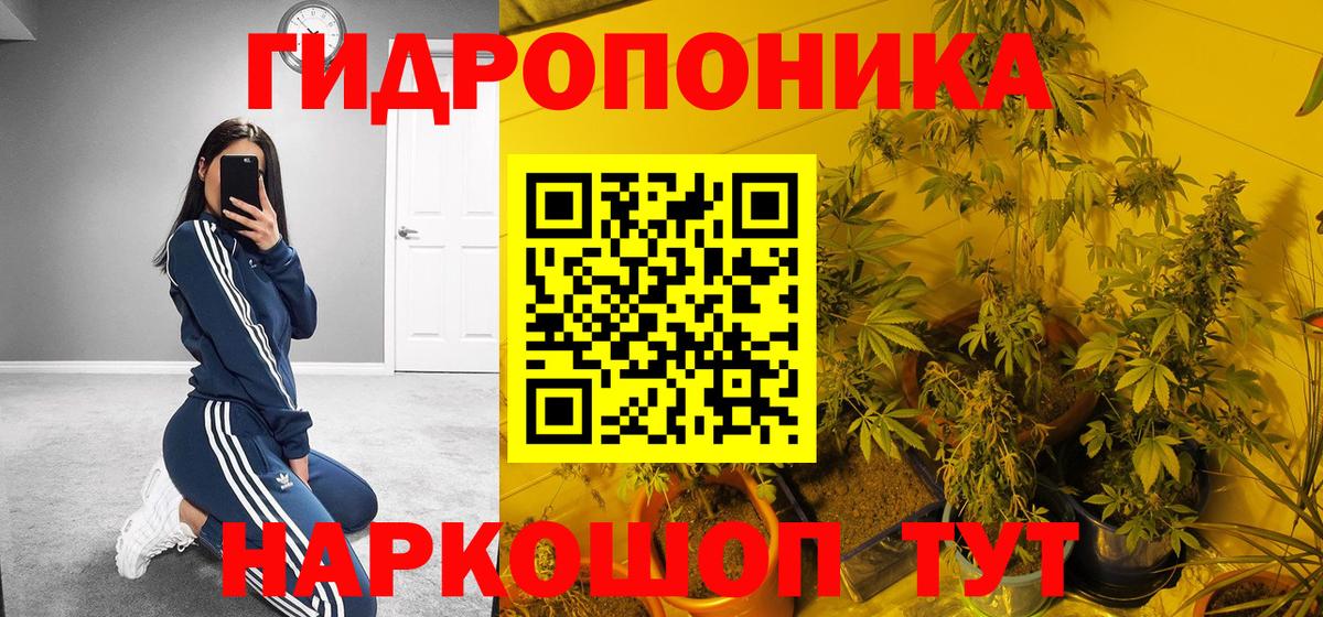 Бошки Шишки SATIVA & INDICA Нововоронеж